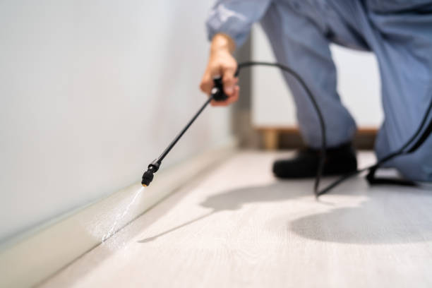 Rodent Entry Point Assessment in West York
