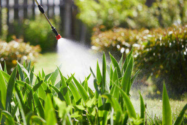 Tamper-Resistant Bait Stations for Rodents in West York