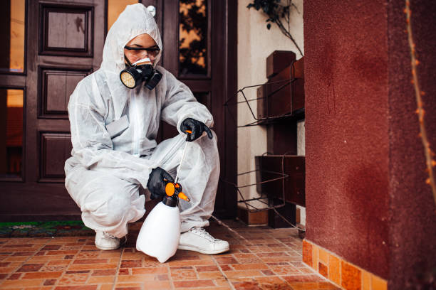 Attic and Crawl Space Rodent Treatment in West York